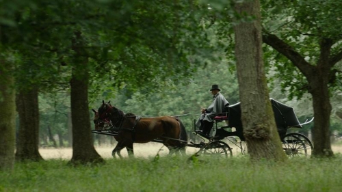 serija-kralj-petar-prvi-series-king-petar-first-zillion-film (5)